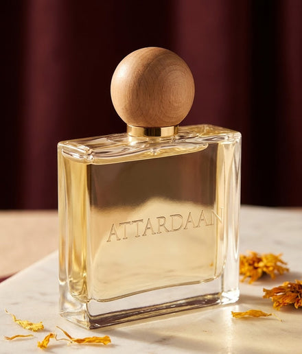 Maestro — Bergamot, Amber & Sandalwood Eau de Parfum