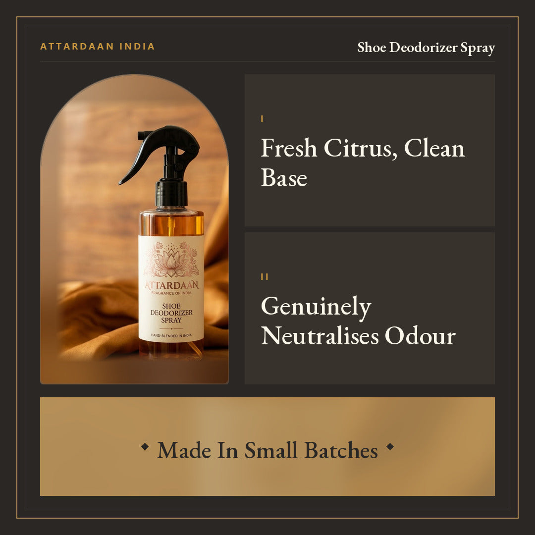 Shoe Deodorizer Spray