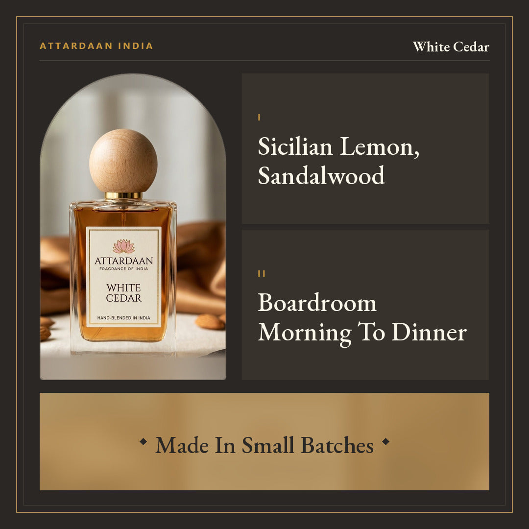 White Cedar — Citrus, Sandalwood & Vanilla Eau de Parfum for Men